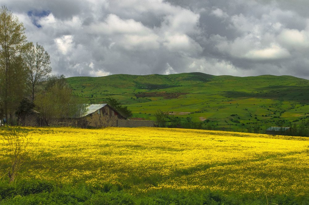 Photograph by Noshen Asadi Moghaddam