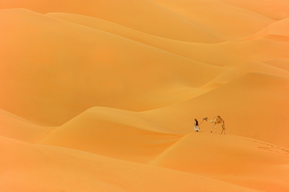 Liwa Desert