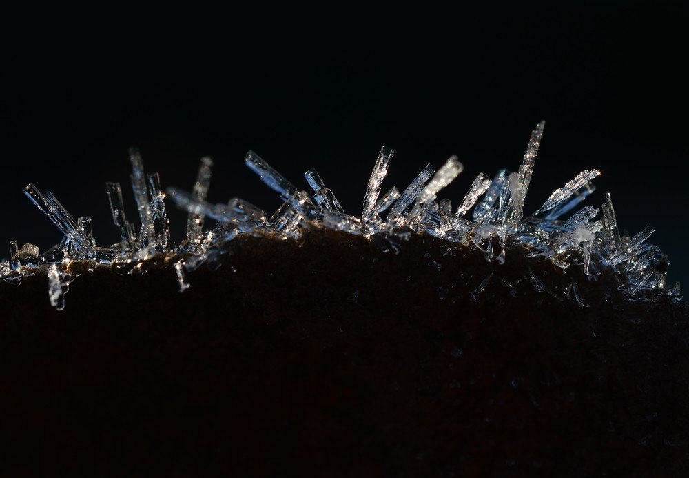 Photograph by Katarína Sabolová