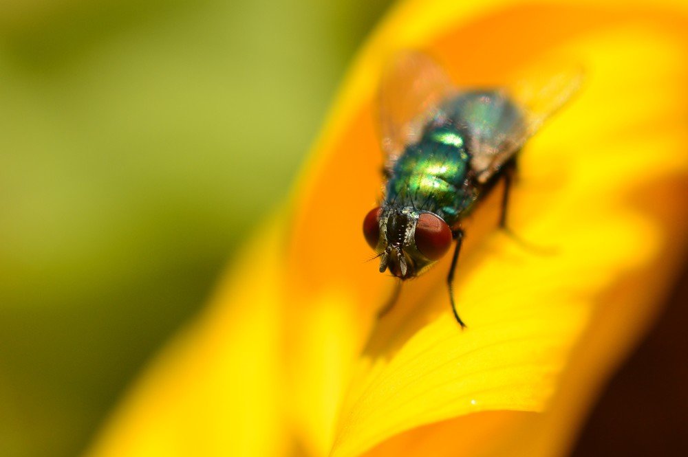 Photograph by Katarína Sabolová