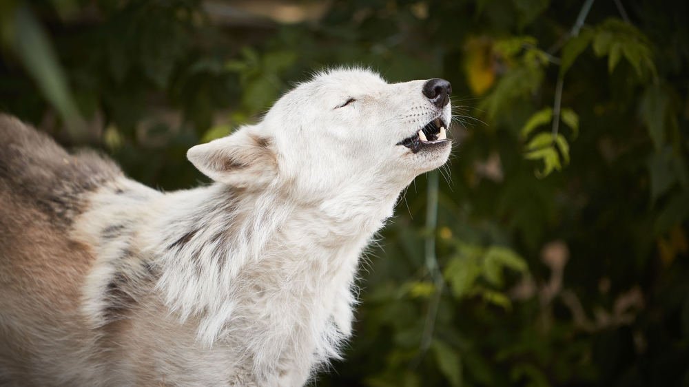 Photograph by Александр Батусов