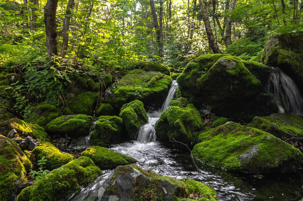 Photograph by Александр Кузнецов