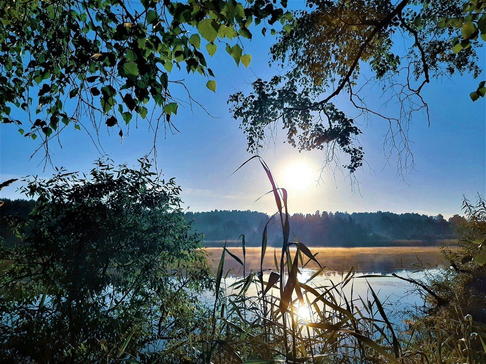 Photograph by Юлия Серазетдинова