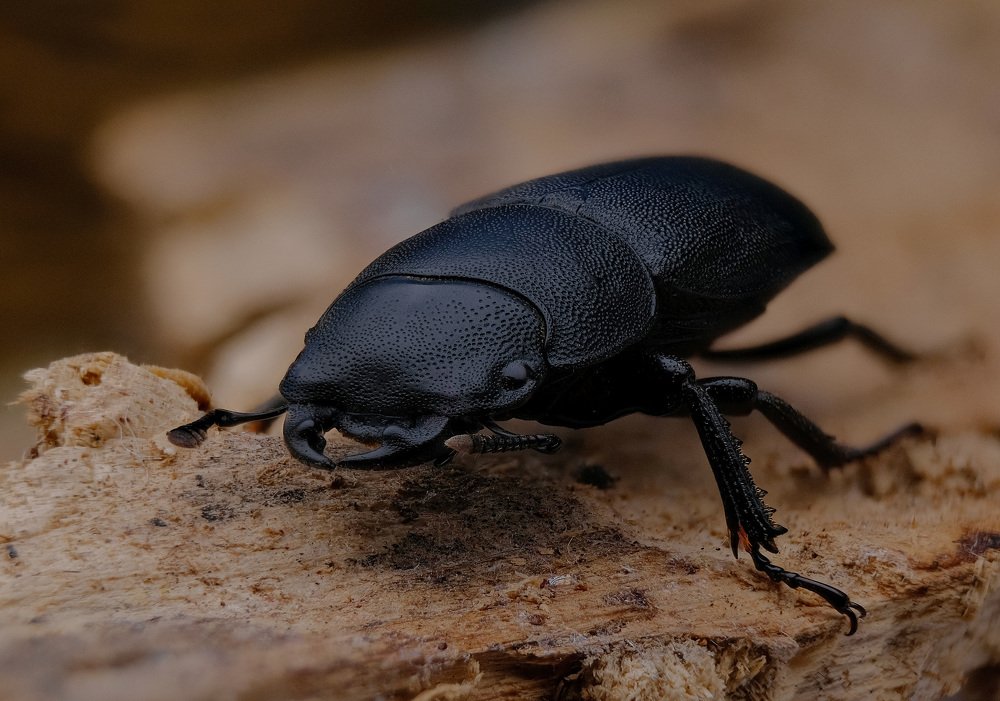 Photograph by Юрьевич Юрий