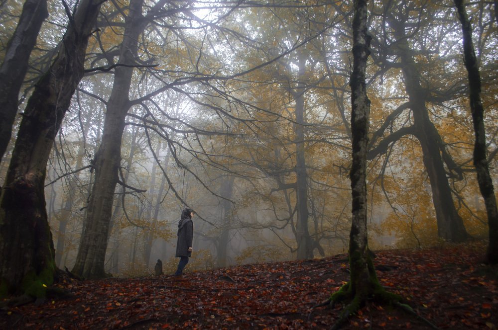 Photograph by Noshen Asadi Moghaddam