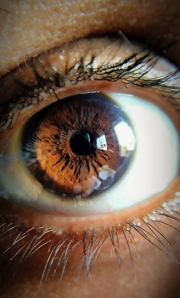 Photograph by Sattik Mukherjee