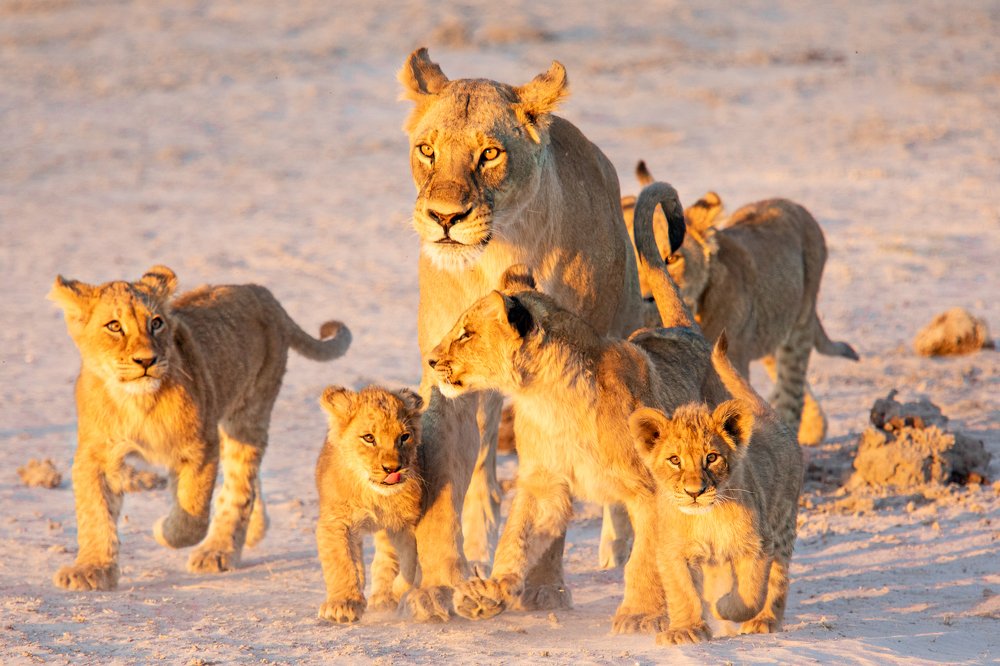 Photograph by Raquel Barao