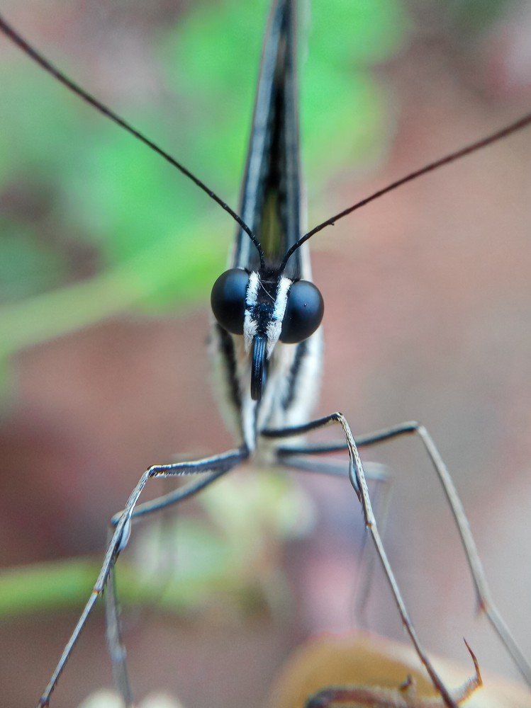 Photograph by Desikan Venkataraghavan