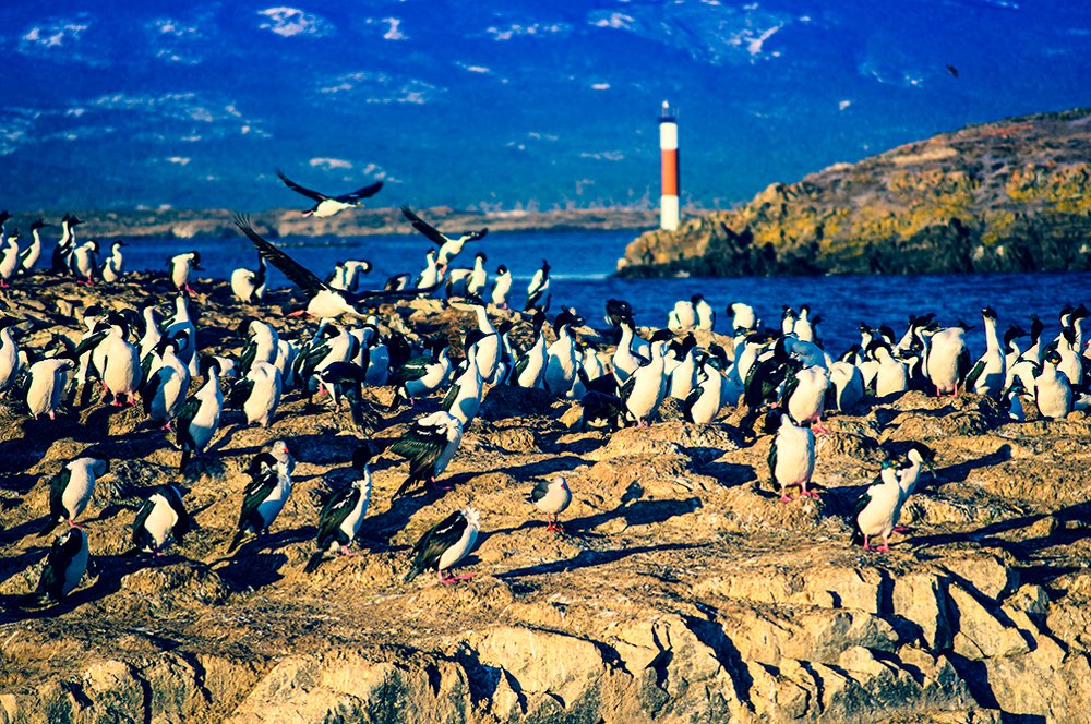 Photograph by FACUNDO SALTARELLI