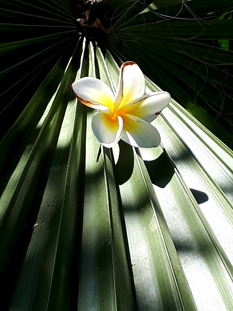 Photograph by Victoria Prilutsky