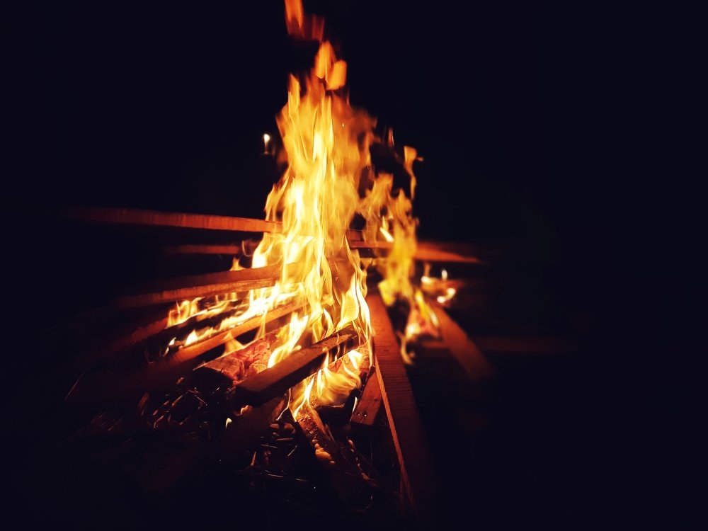 Photograph by Md. Ashraful Islam