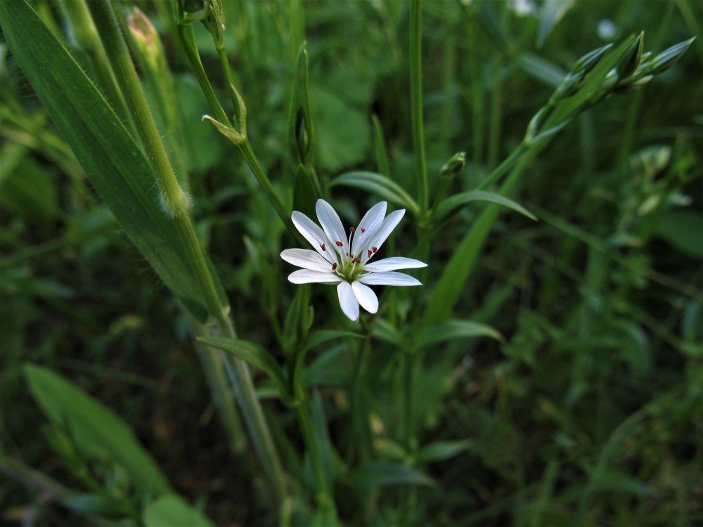 Photograph by Анна Кремешкова