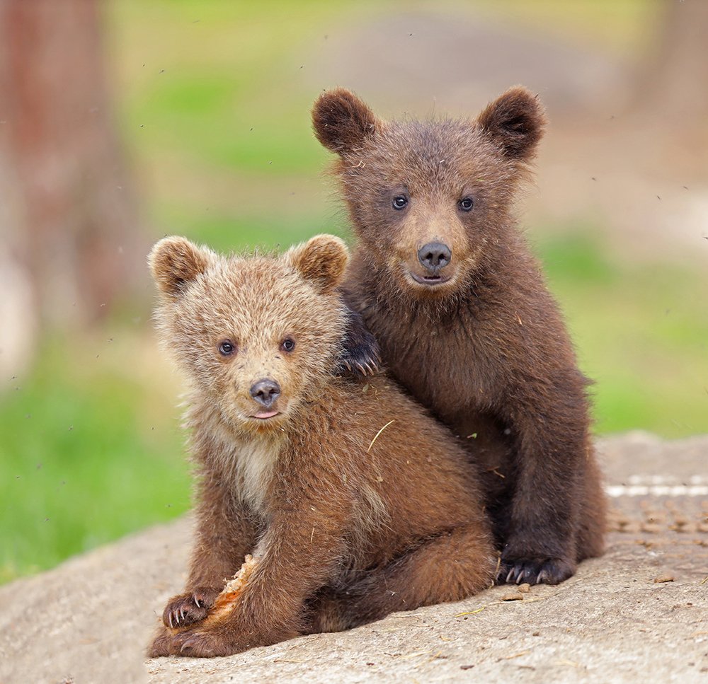 Photograph by Valtteri Mulkahainen