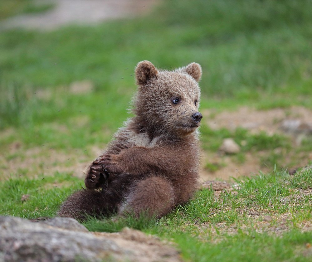 Photograph by Valtteri Mulkahainen