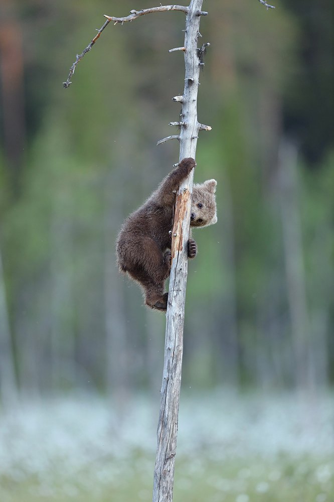 Photograph by Valtteri Mulkahainen