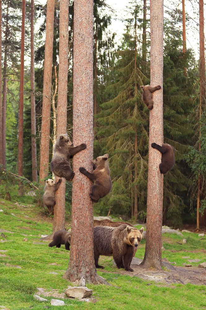 Photograph by Valtteri Mulkahainen