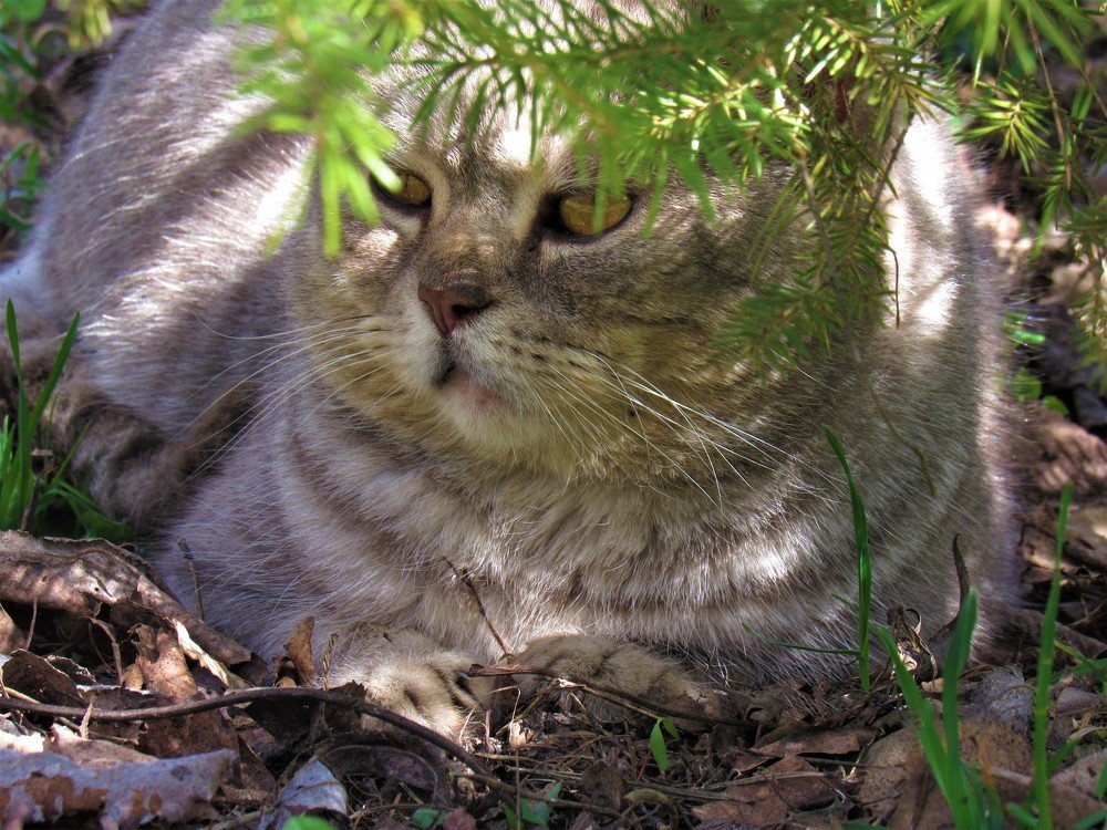 Photograph by Анна Кремешкова