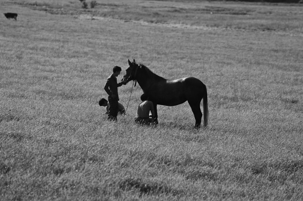 Неуловимые мстители