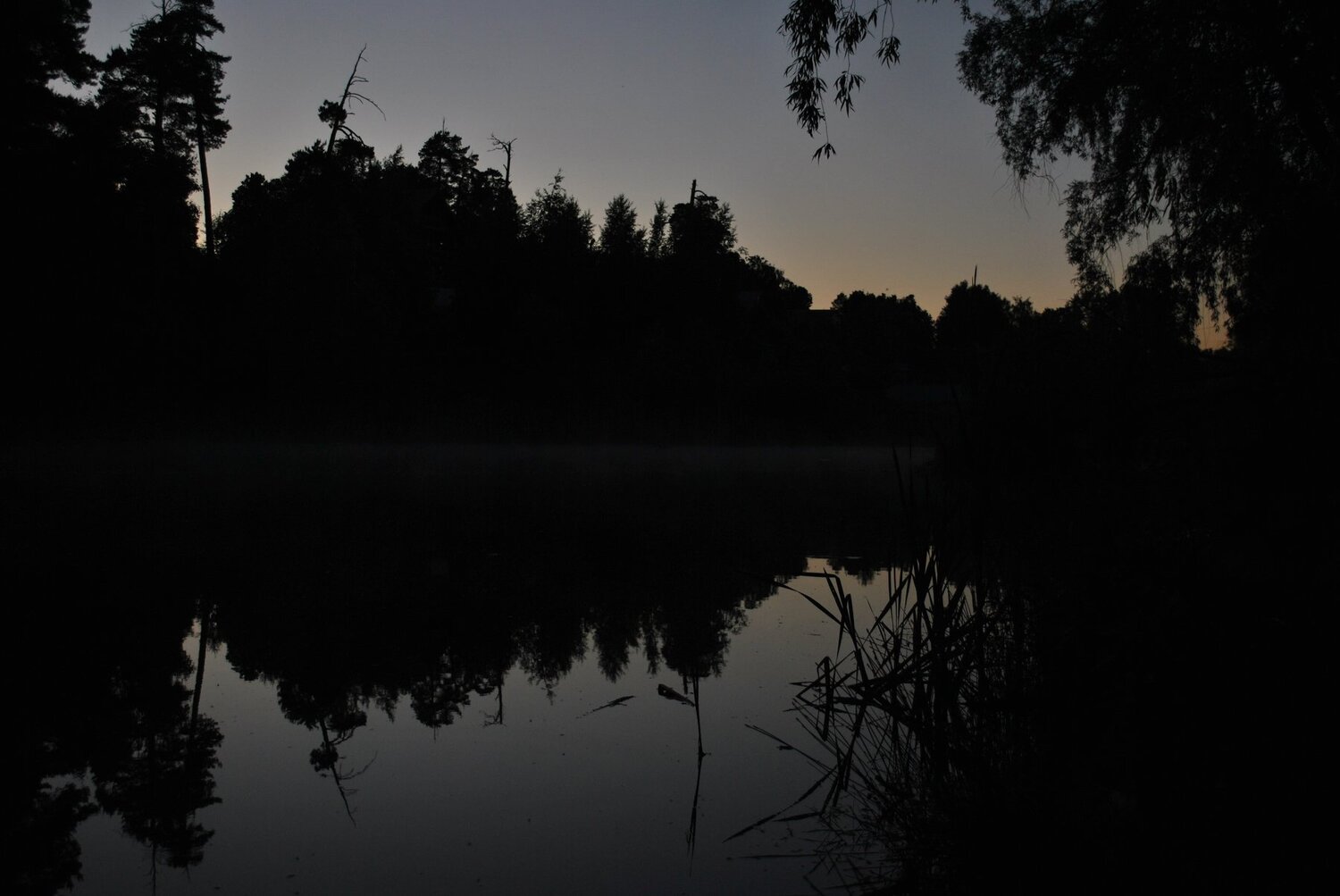 Photo #4729110
