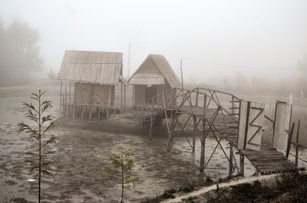 Photograph by Sourav Ghosh