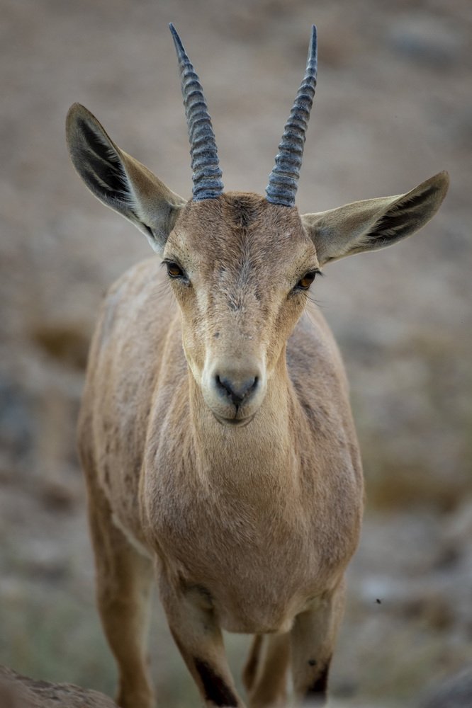 Фотография автора Nikolay Tatarchuk