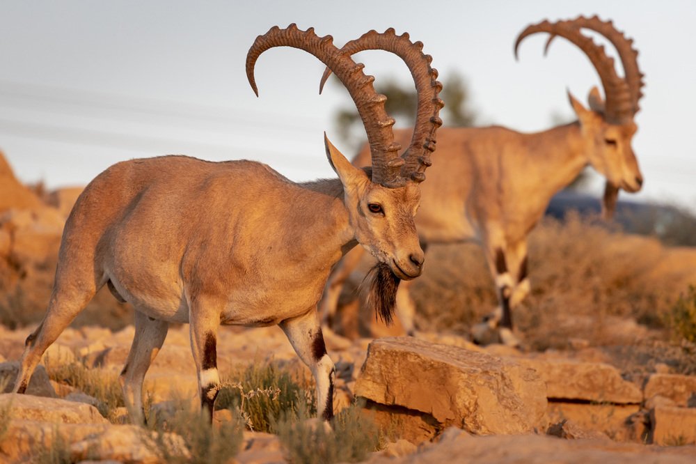 Фотография автора Nikolay Tatarchuk
