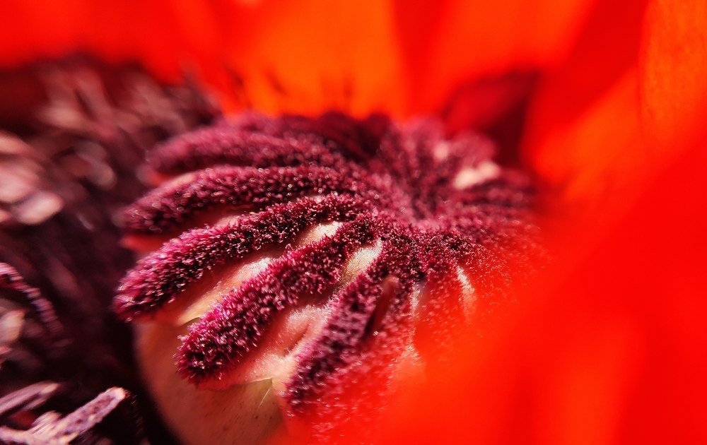 Фотография автора Станислав Ермолин