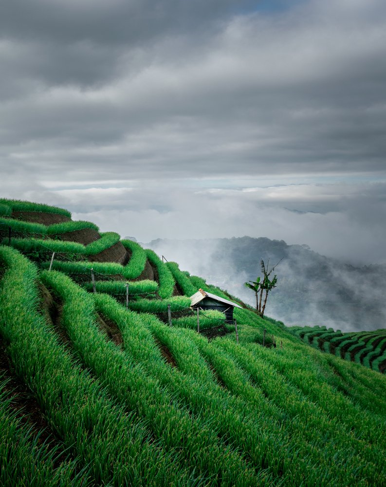 Panyaweuyan Argapura