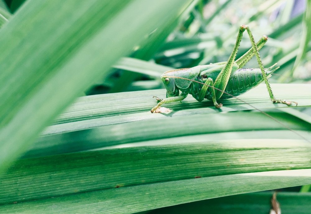 Photograph by Анастасия Козлова