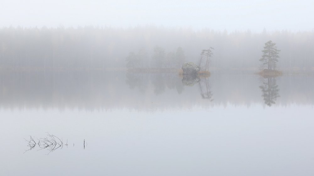 Осенний туман.