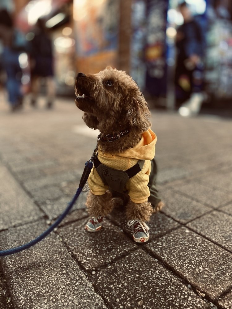 Photograph by LESIEUR Regis