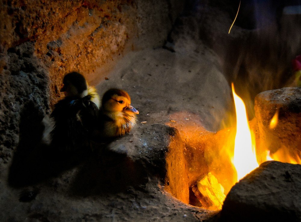 Photograph by munnalal baghel