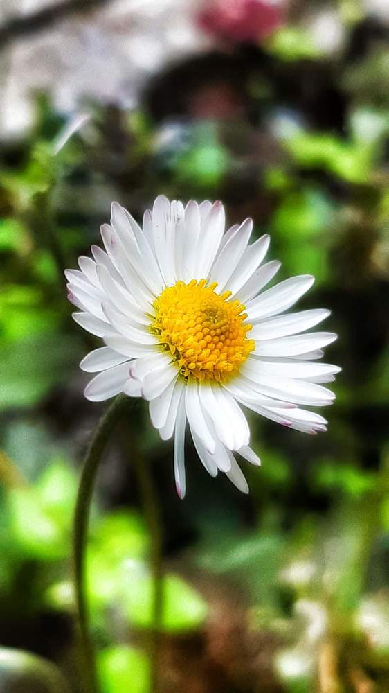 Photograph by Алена Сазонова