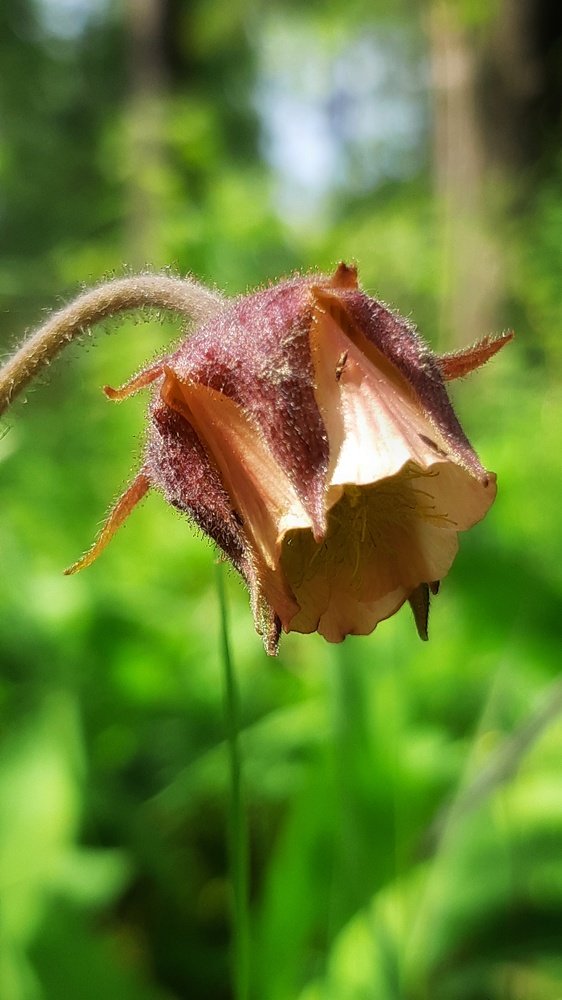 Photograph by Алена Сазонова