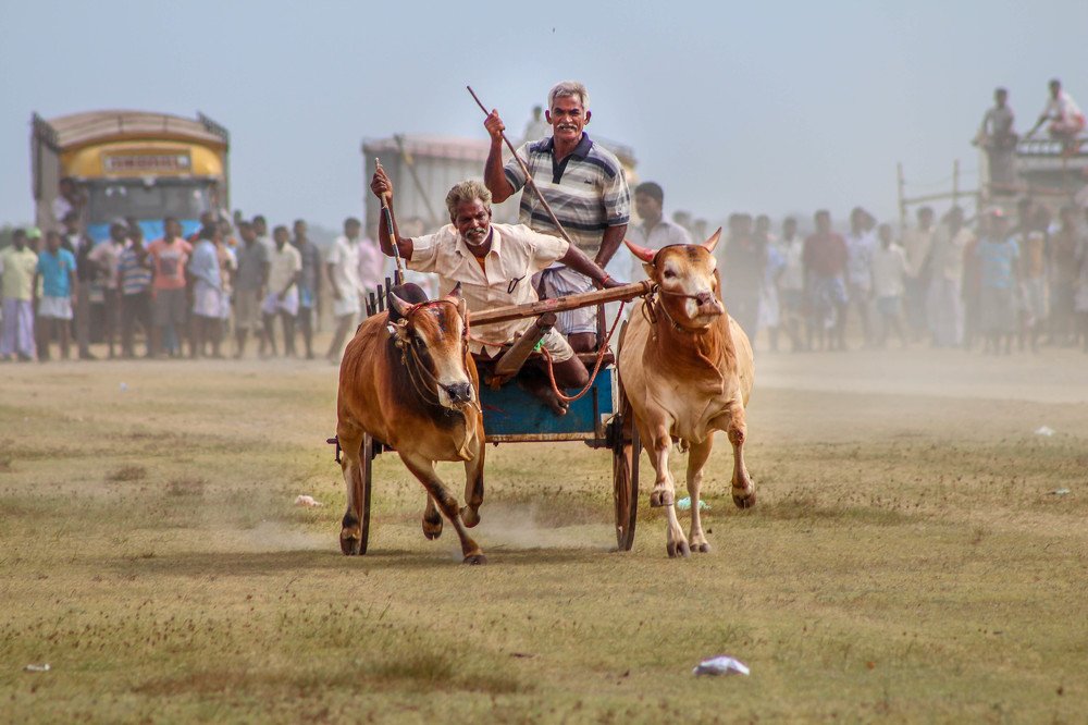 Photograph by Tilaxan Tilaxan