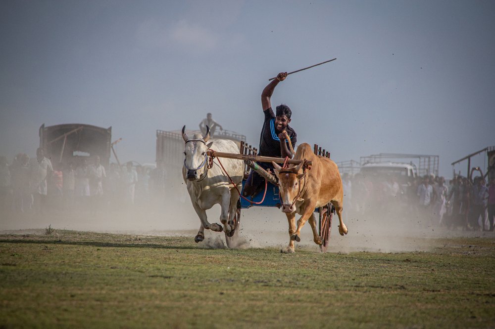 Photograph by Tilaxan Tilaxan