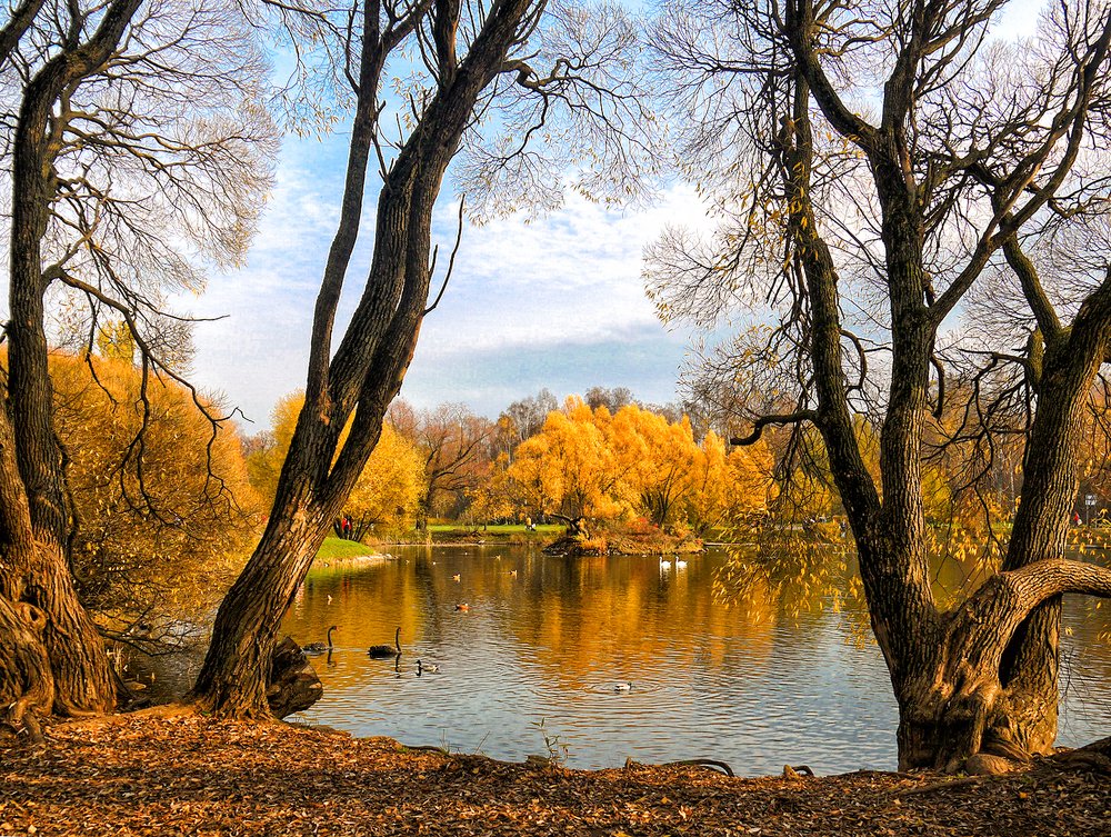 Последний теплый день осени. Last warm day of autumn.