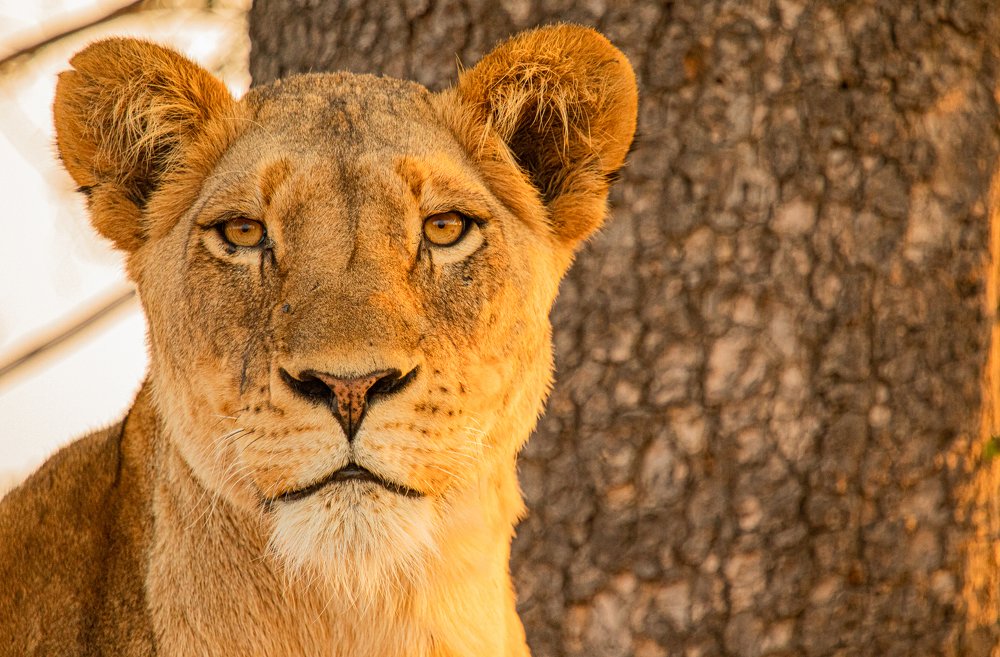 Photograph by Raquel Barao