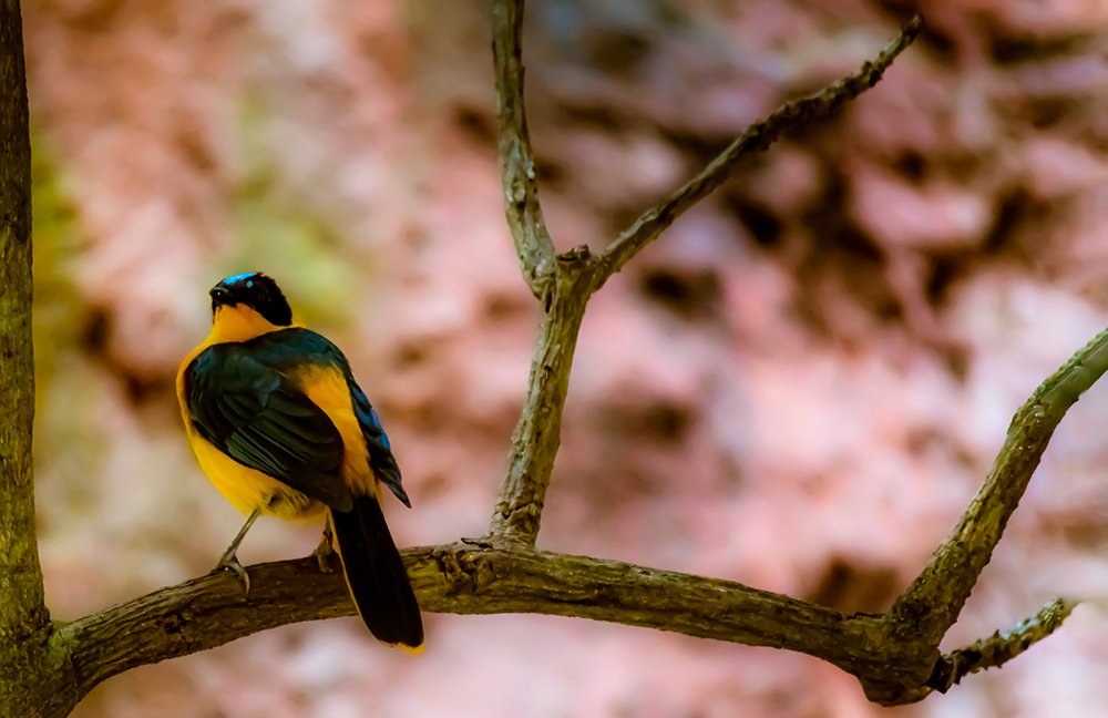 Photograph by FACUNDO SALTARELLI