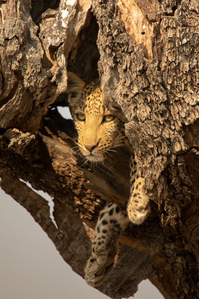 Photograph by Raquel Barao