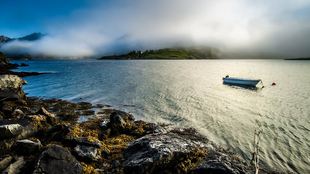 Photograph by Алексей Котлов