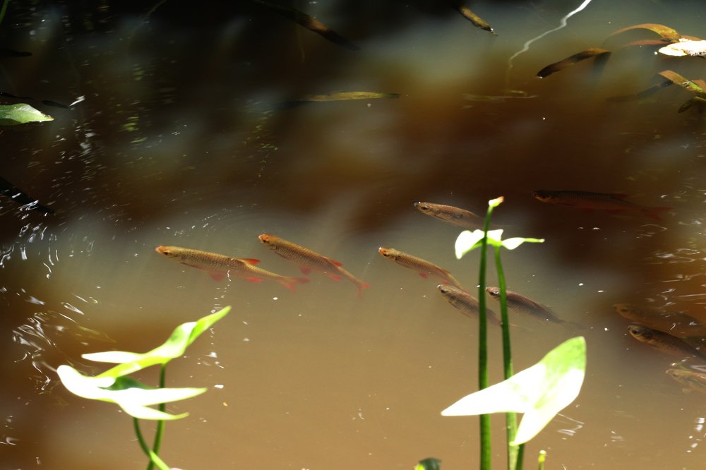 Photograph by Łukasz