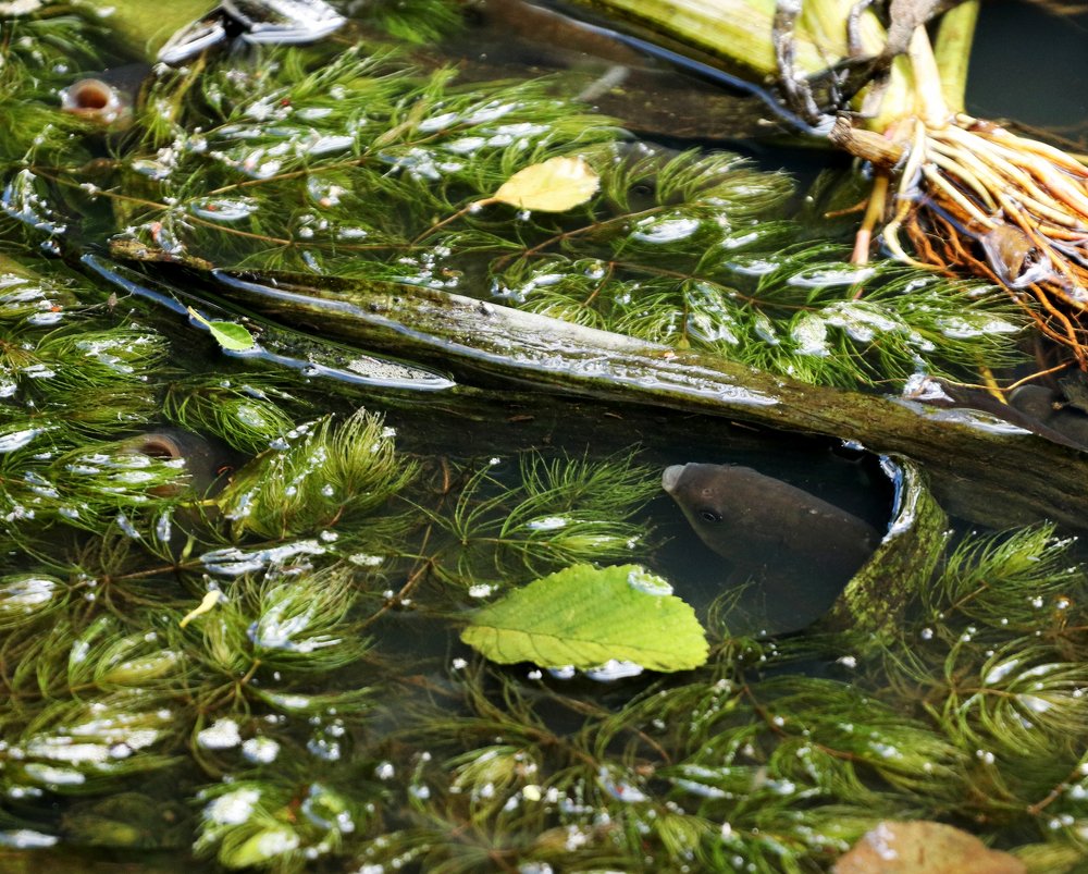 Photograph by Łukasz