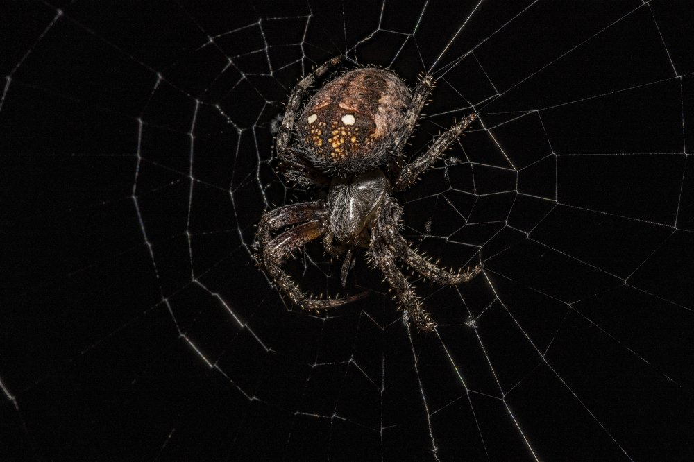 Photograph by Sameer Bhalekar