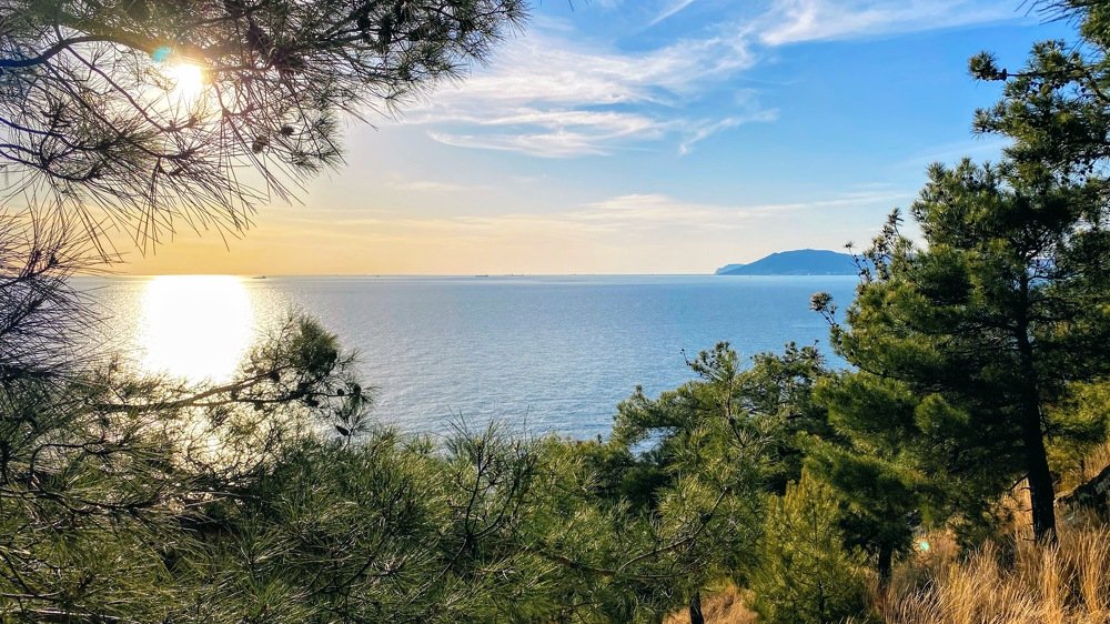 Photograph by Олег Фёдоров