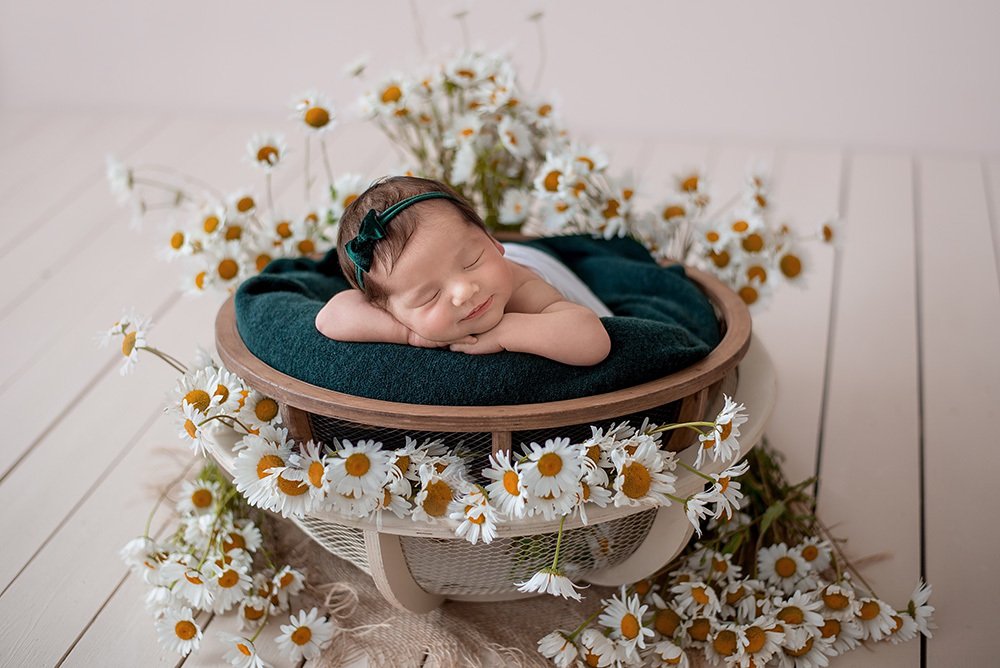 Ромашковое чудо