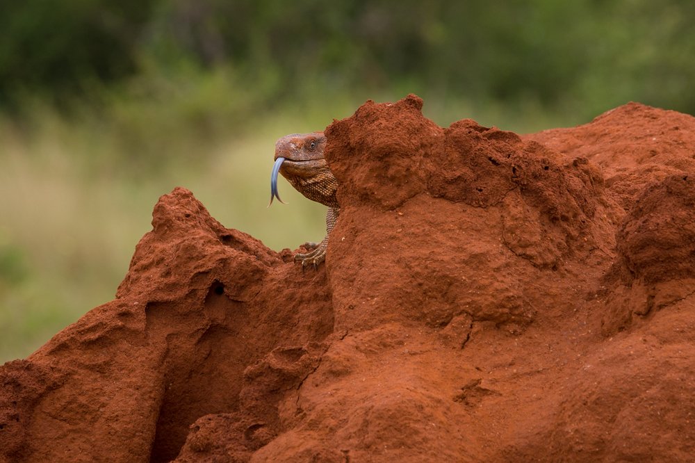 Photograph by Ольга Петруша