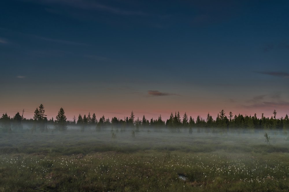 Фотография автора Евгения Шаравар