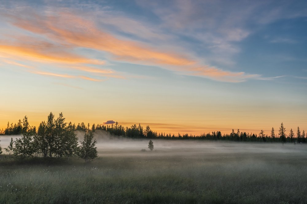 Фотография автора Евгения Шаравар