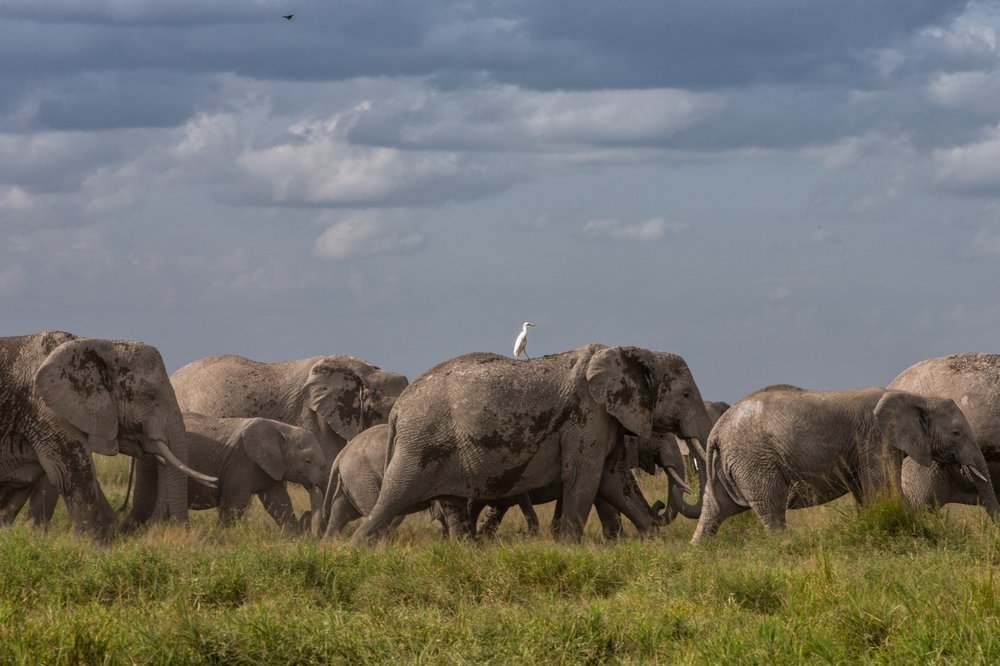 Photograph by Ольга Петруша